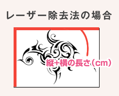 レーザー除去法の場合