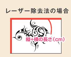 レーザー除去法の場合
