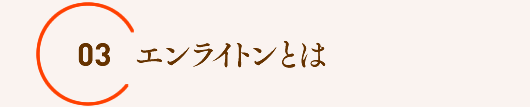 エンライトンとは